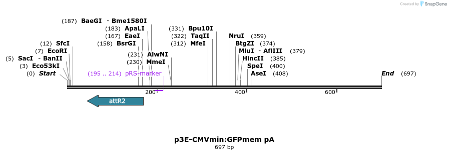161402_map