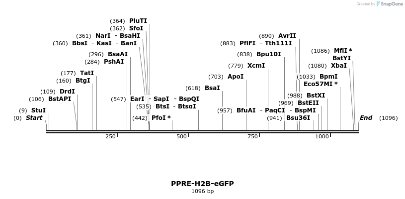 161413_map