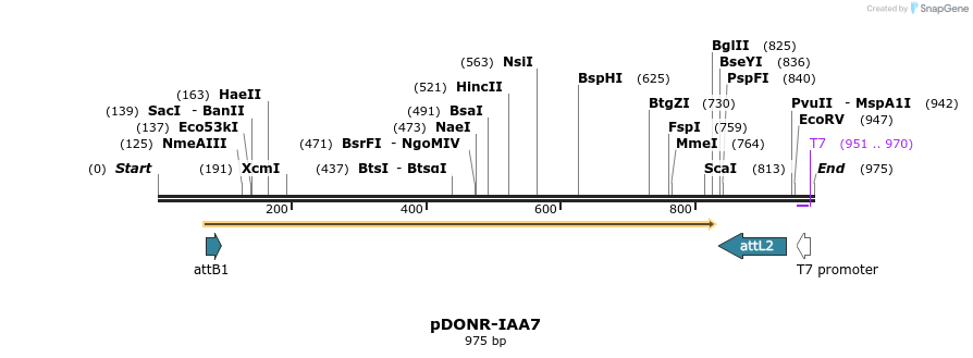 161414_map