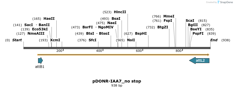 161418_map