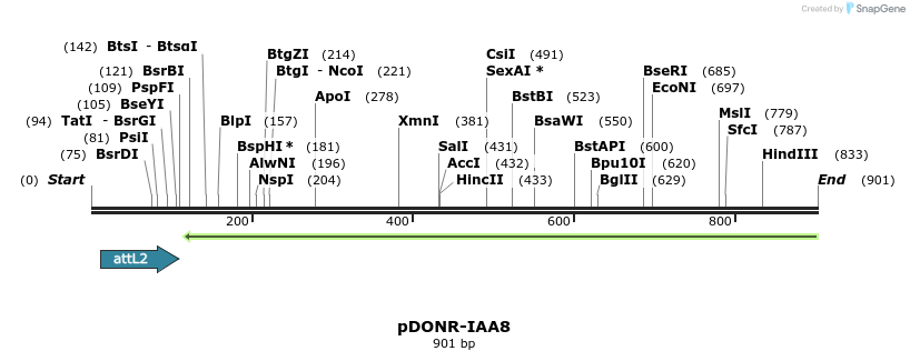 161419_map