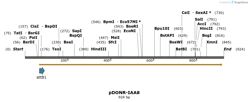 161420_map