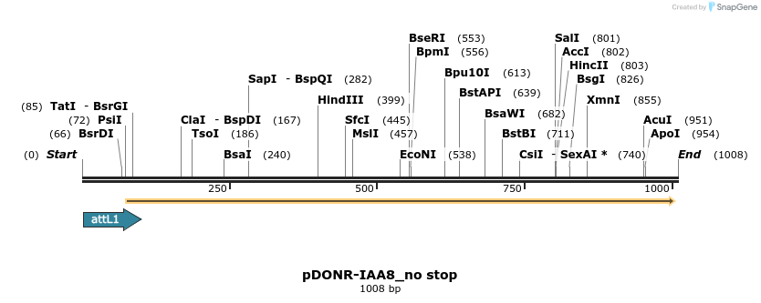 161422_map