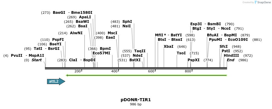 161424_map