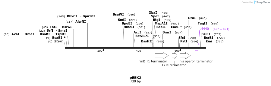 161449_map