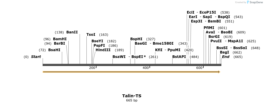 161461_map