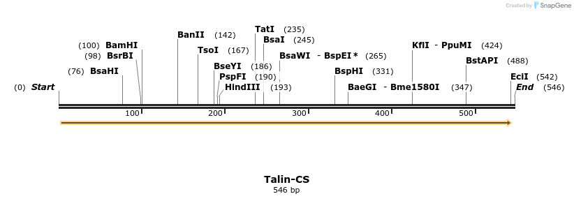 161466_map