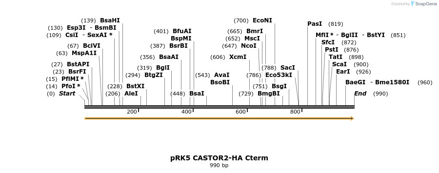 161472_map