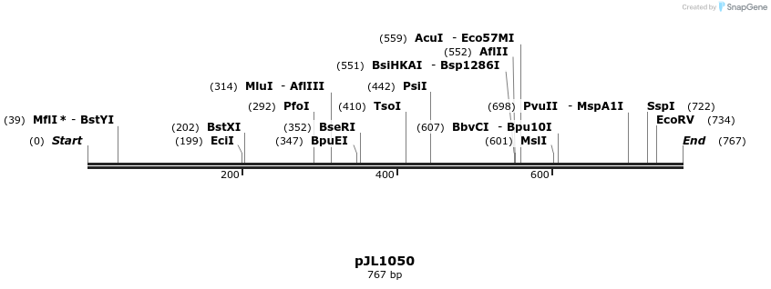161526_map