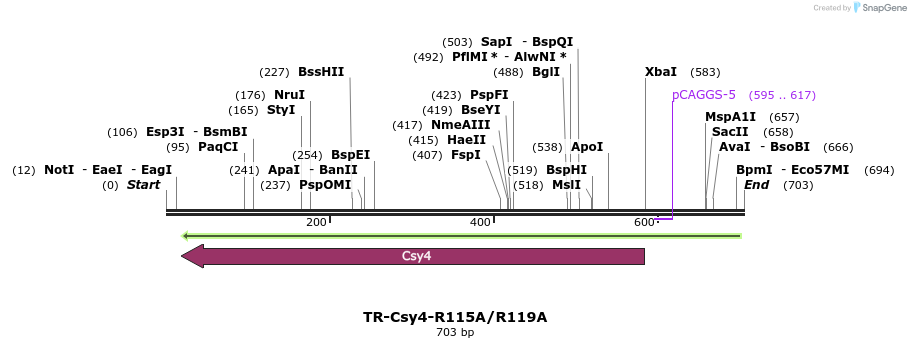 161542_map