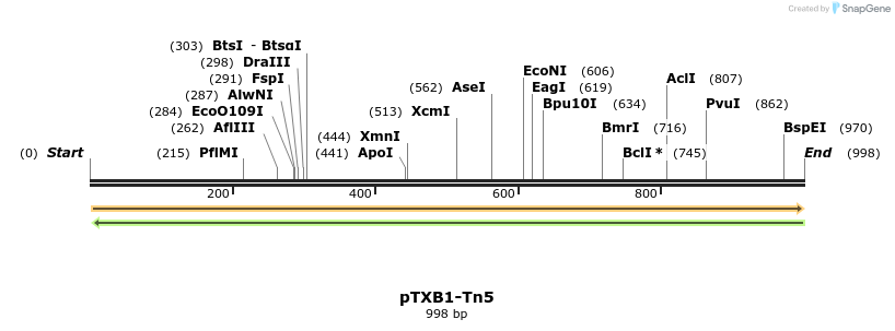161543_map