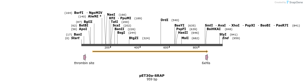 161549_map