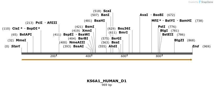 161572_map