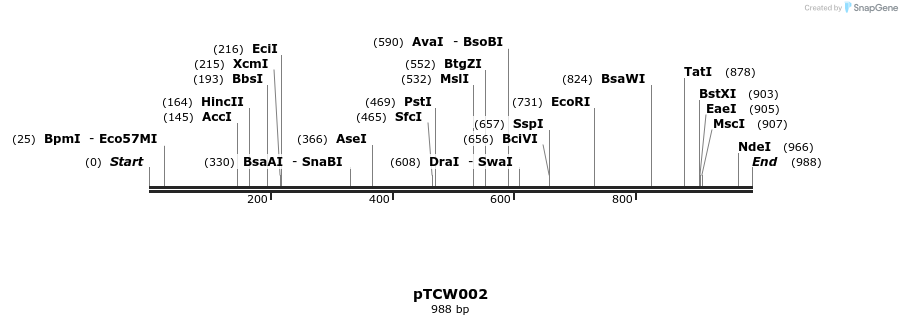 161587_map