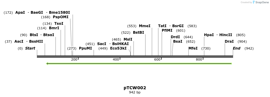 161590_map