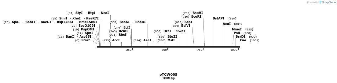161601_map
