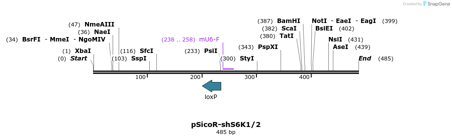 161680_map