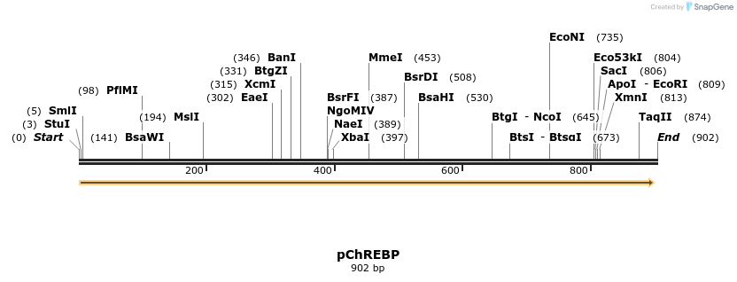 161697_map