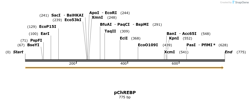 161698_map