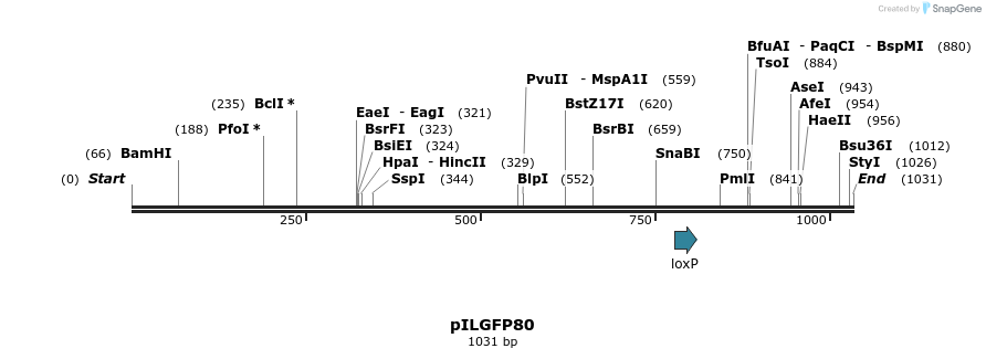 161702_map