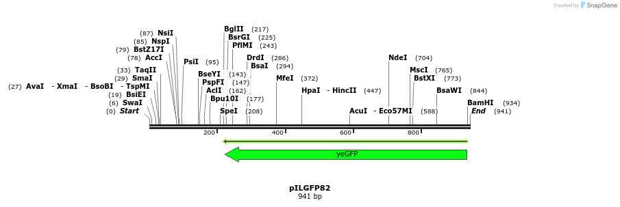 161711_map
