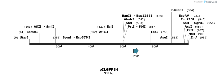 161713_map