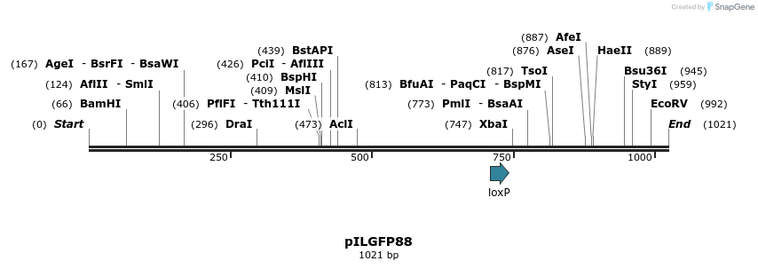161726_map