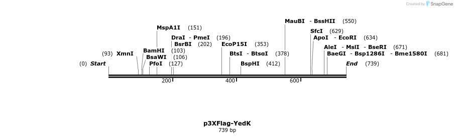 161741_map