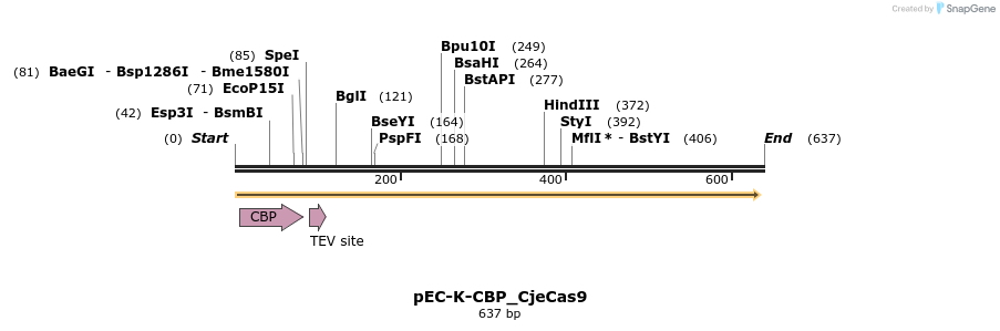 161746_map