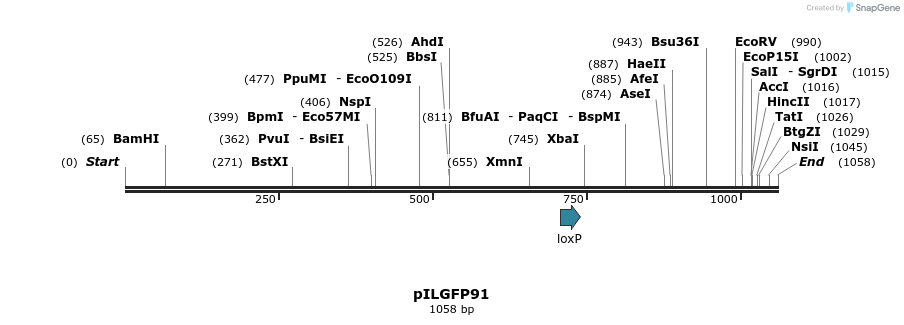 161749_map