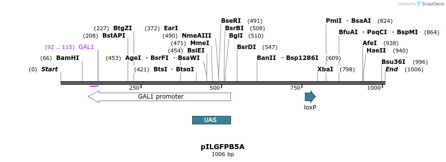 161796_map