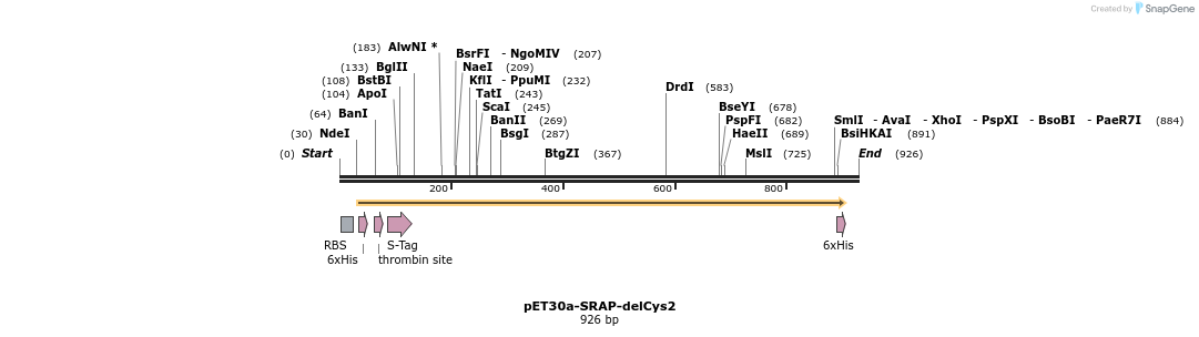 161811_map