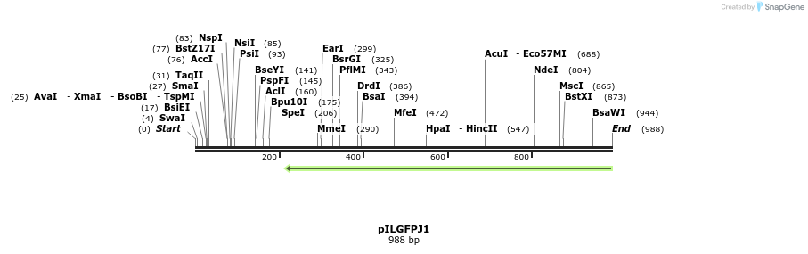 161825_map