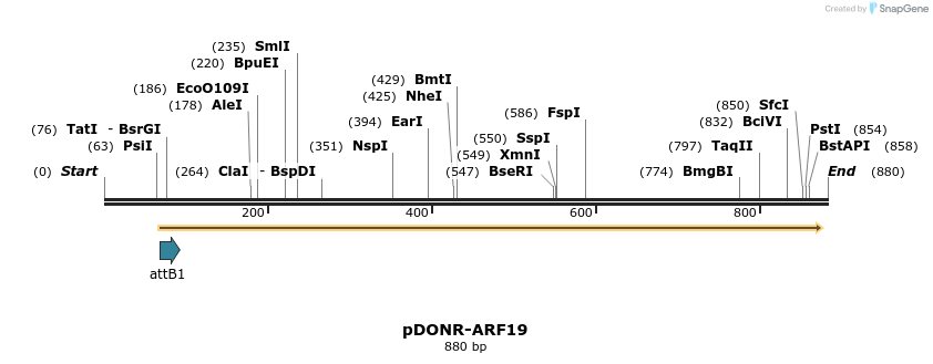 161872_map