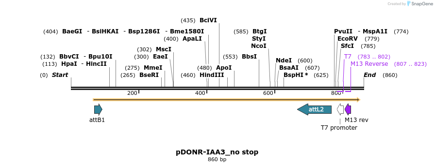 161902_map