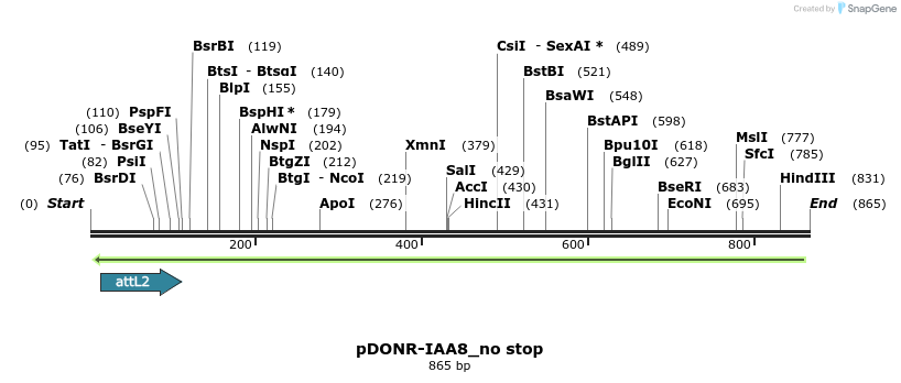 161911_map