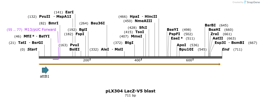 161922_map