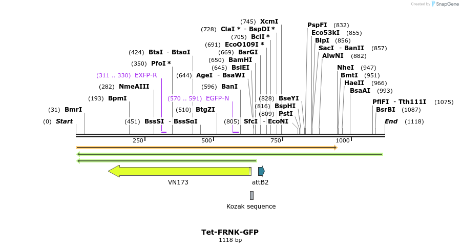 161978_map