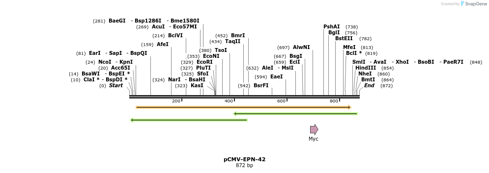 161990_map