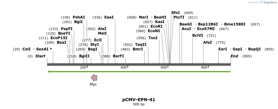 161993_map