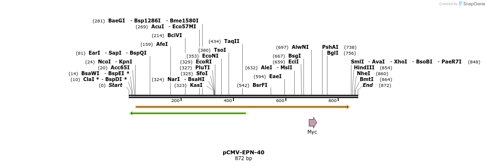 161997_map