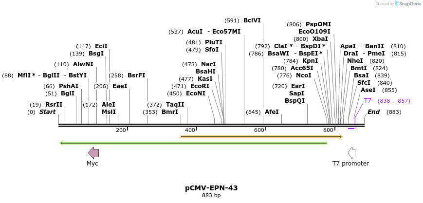 161998_map