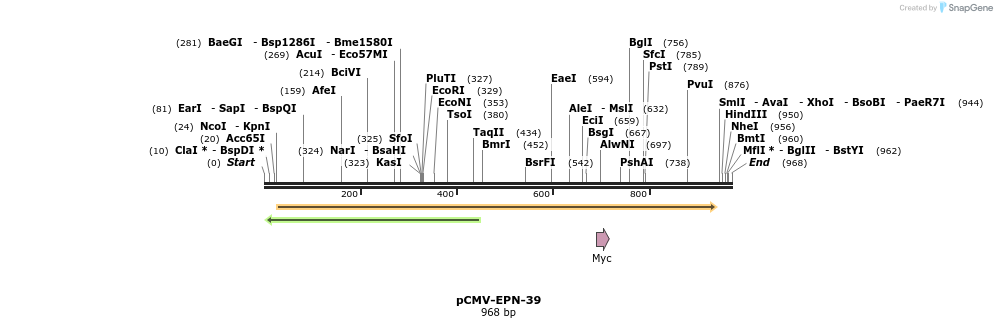 162002_map