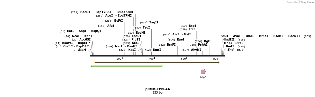 162005_map