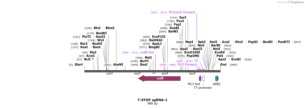 162018_map