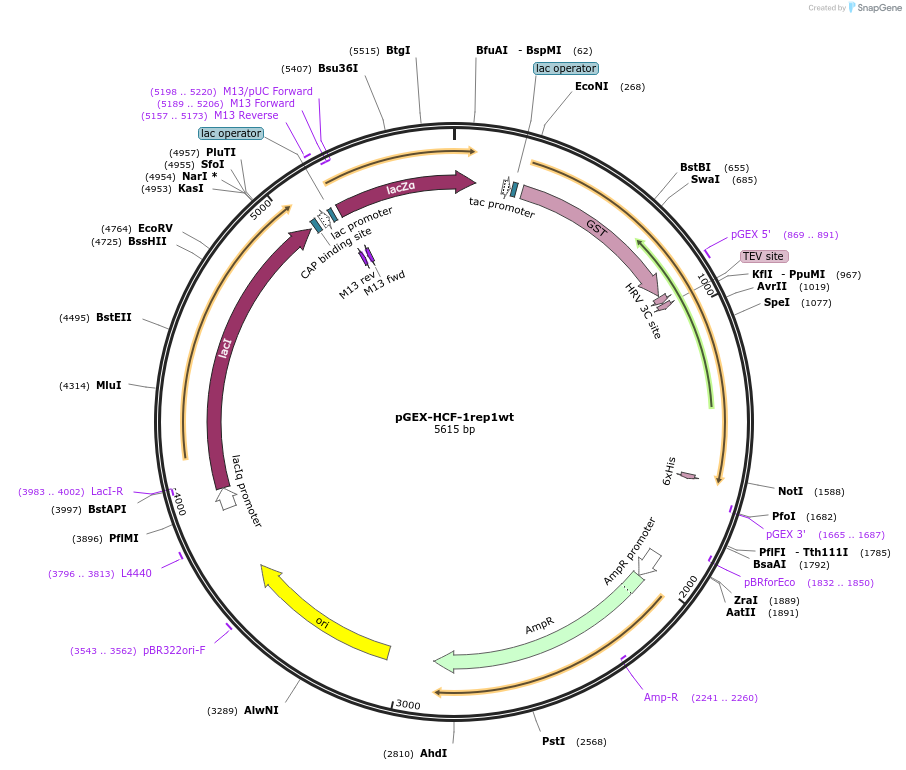 162024_map