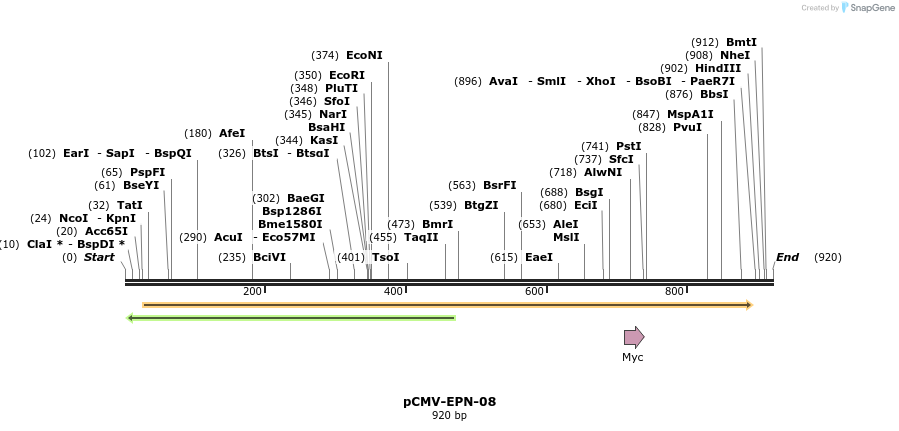 162092_map