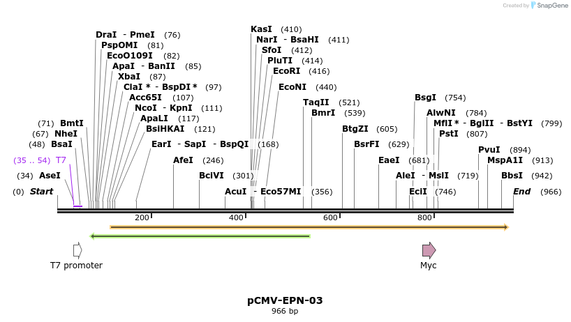 162095_map