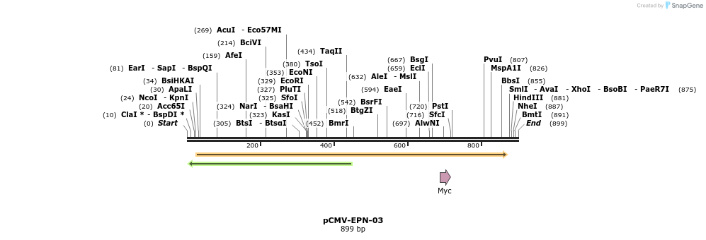 162098_map