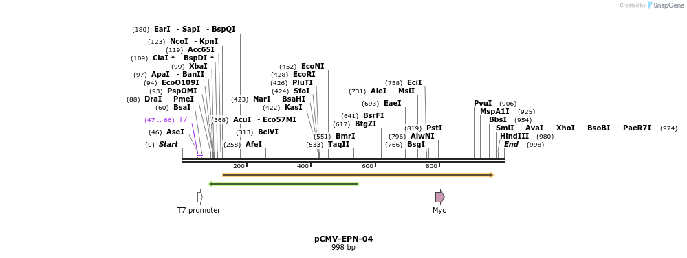 162104_map